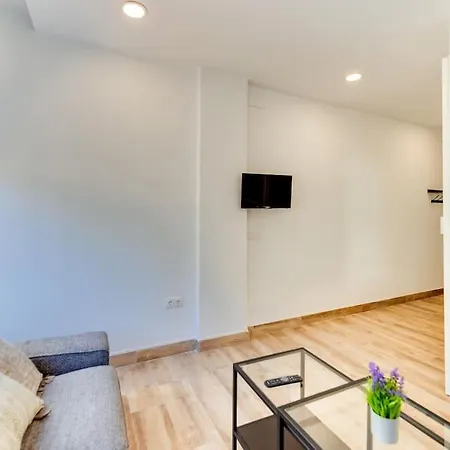 Lxr Nogalera 1 Hab Centrico Daire